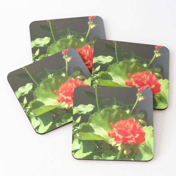 Item preview, Geranium designed and sold by Lourdie5.