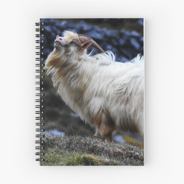 Item preview, Goat of The Burren #2 designed and sold by -Pip.