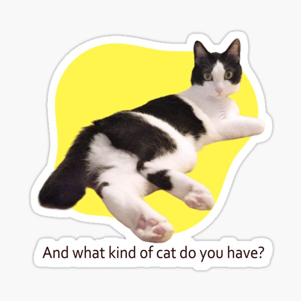 and-what-kind-of-cat-do-you-have-sticker-by-tsaodenis-redbubble