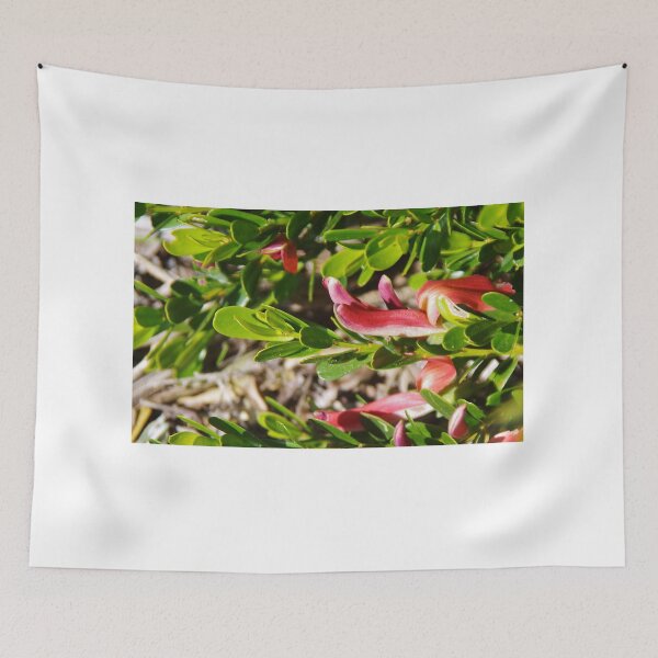 Item preview, Templetonia retusa designed and sold by lezvee.
