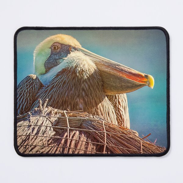 Item preview, Majestic gray pelican on the top of a palapa designed and sold by Travelways.