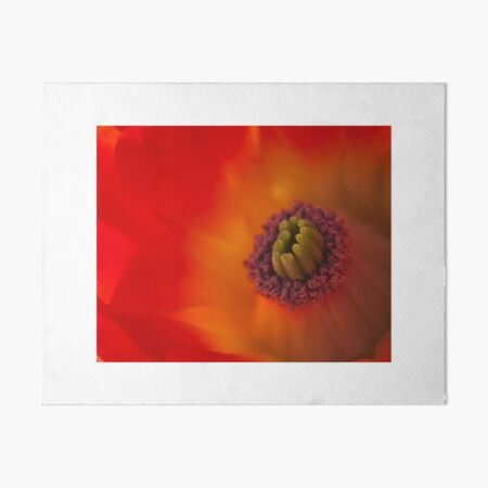 Mojave Hedgehog Art Board Print