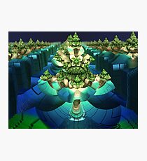 A Small World Photographic Print