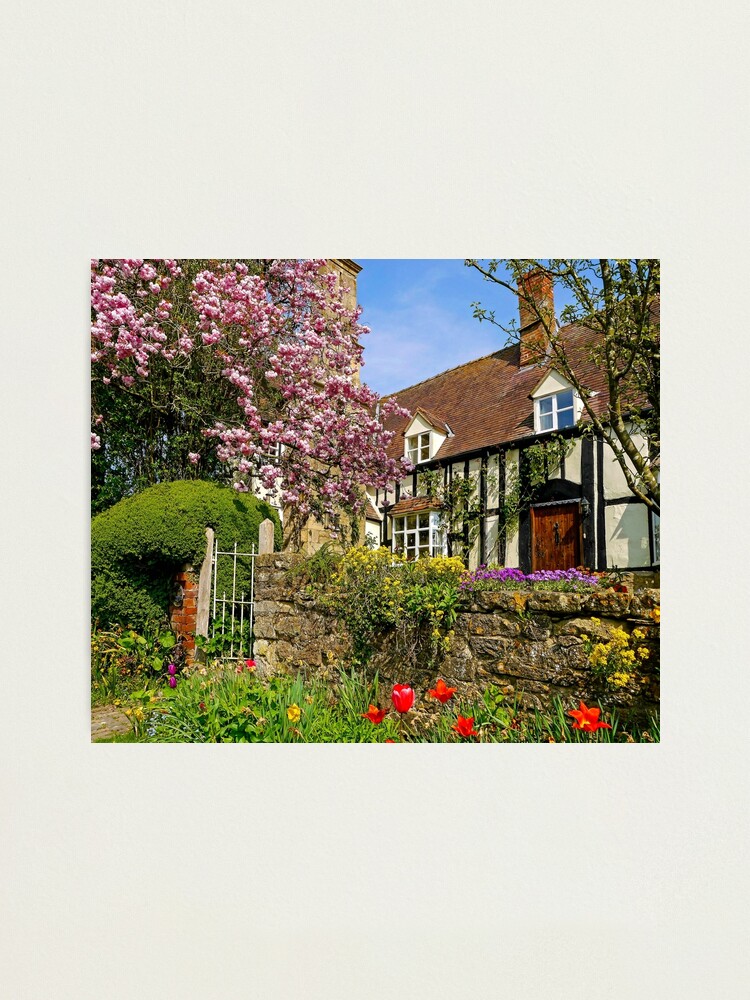 Alternate view of Colourful Spring Photographic Print