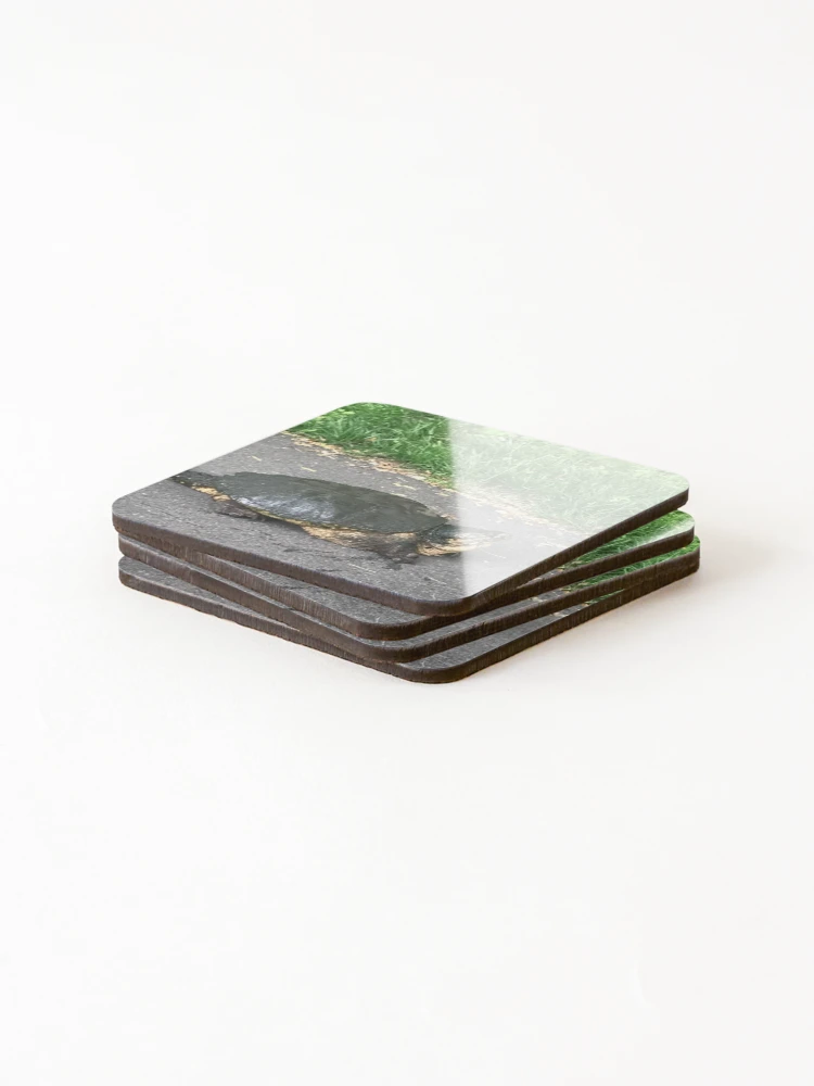 Thumbnail 4 of 5, Coasters (Set of 4), Snapping turtle  designed and sold by Rachel the Artist .