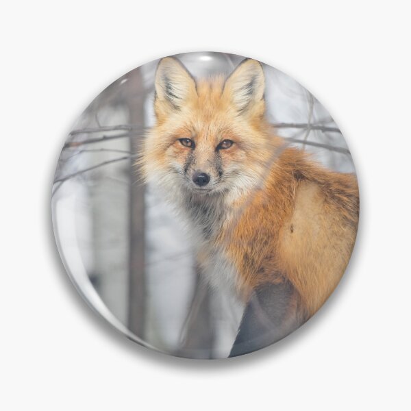 Item preview, It's a fox life designed and sold by Inspieation.