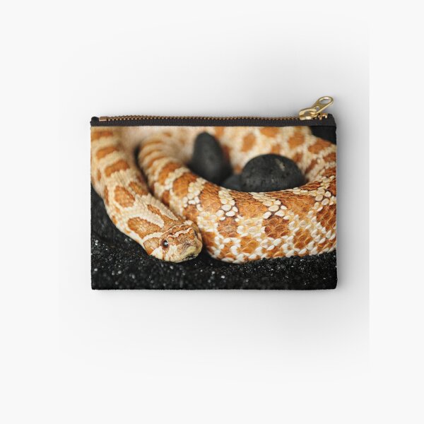 Artikelvorschau, Westliche Hognose Schlange entworfen und verkauft von JennaKnight.