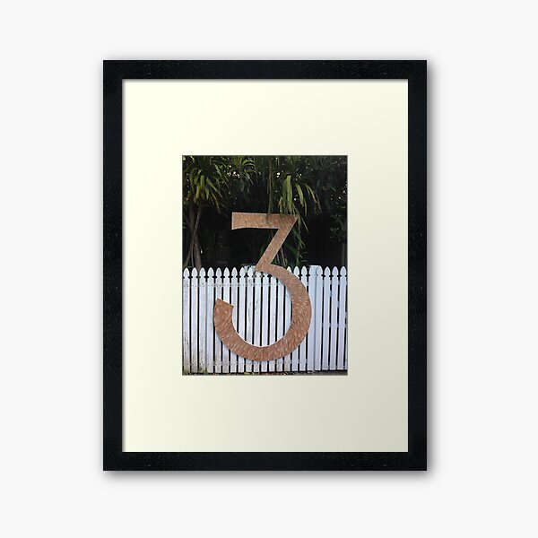 Toru (Three) Framed Art Print