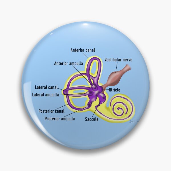 Item preview, Colorful Membranous Labyrinth designed and sold by AriaSaysHello.