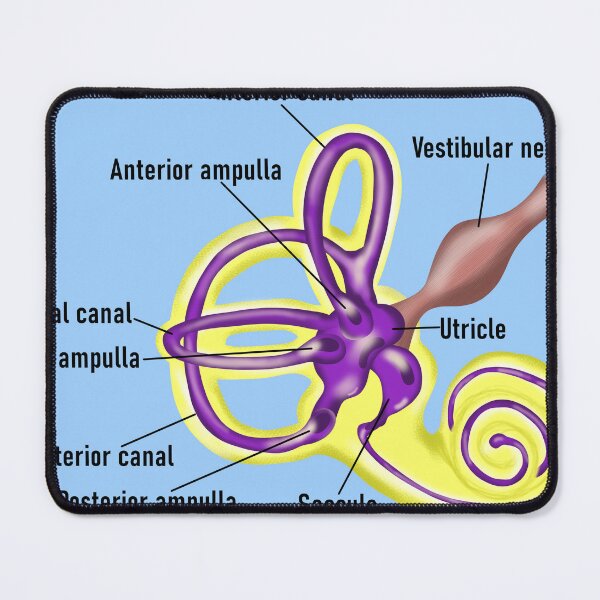 Item preview, Colorful Membranous Labyrinth designed and sold by AriaSaysHello.