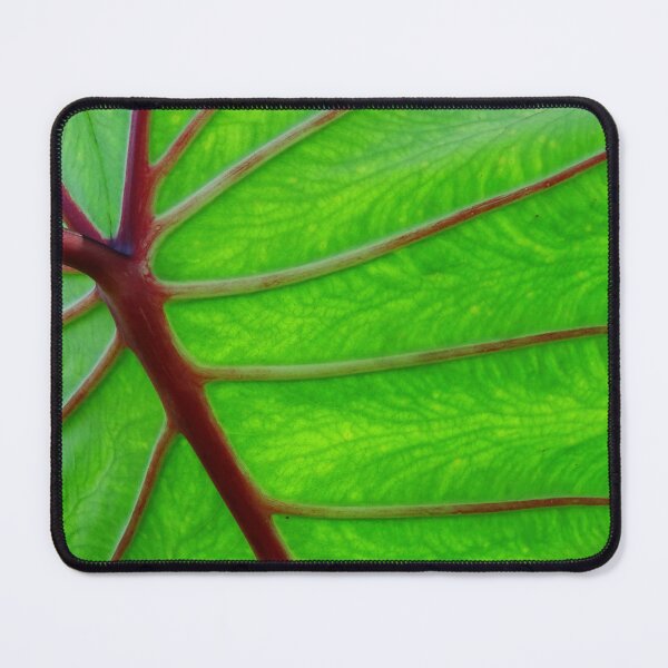 Item preview, Leaf  #0014 designed and sold by Jeffrey Mask.