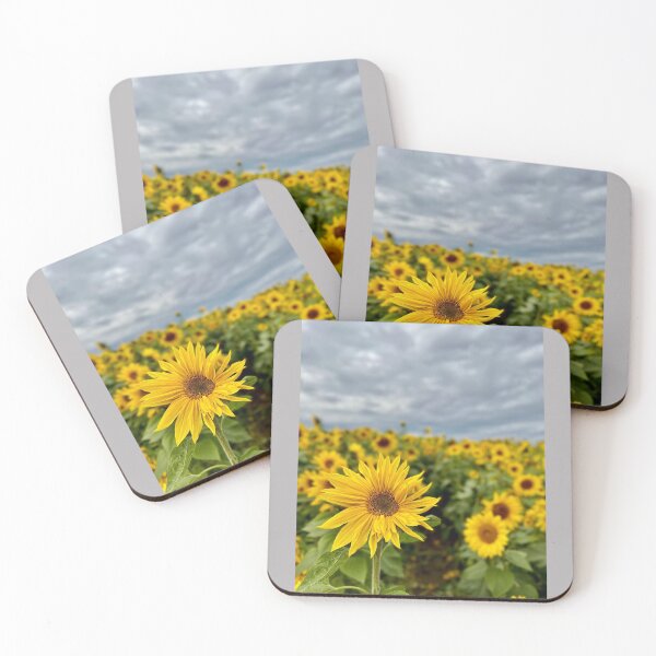Item preview, Sunflower in October designed and sold by DPalinPhotography.