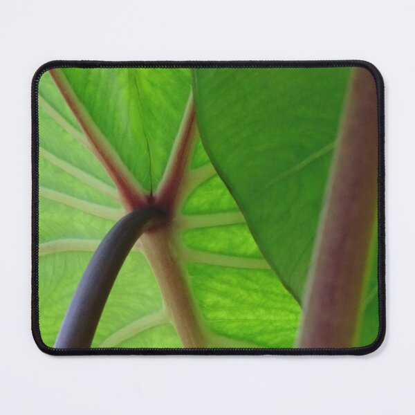 Item preview, Leaf #0015 designed and sold by Jeffrey Mask.