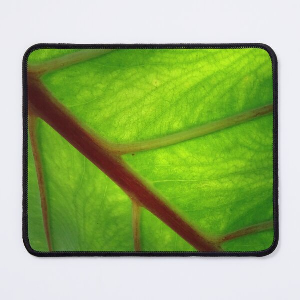 Item preview, Leaf  #0016 designed and sold by Jeffrey Mask.