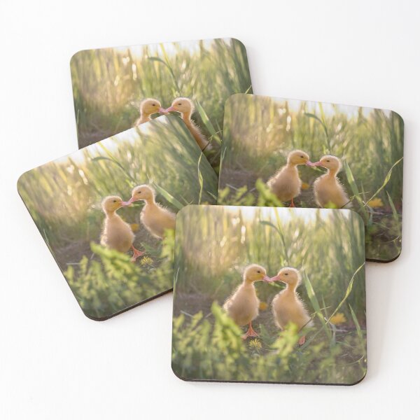 Item preview, Baby goslings in the grass designed and sold by Svetlana Korneliuk.