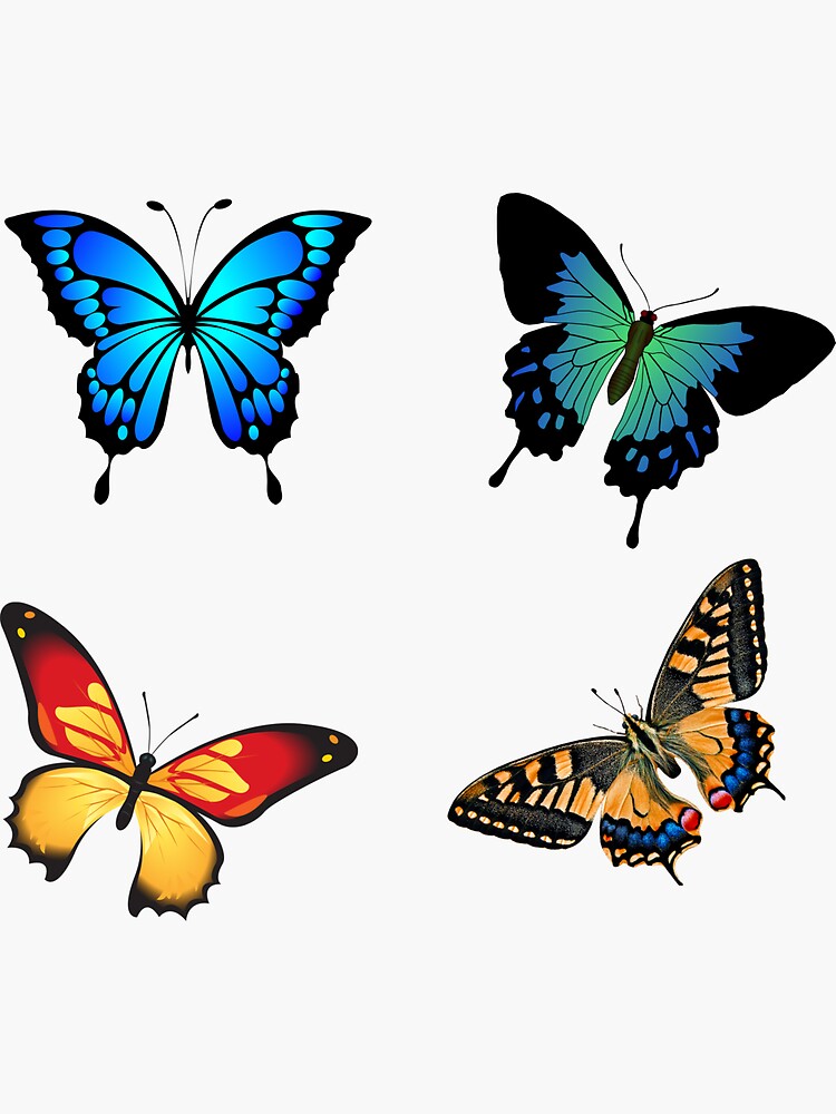 "Colorful butterflies " Sticker for Sale by sweary12 Redbubble