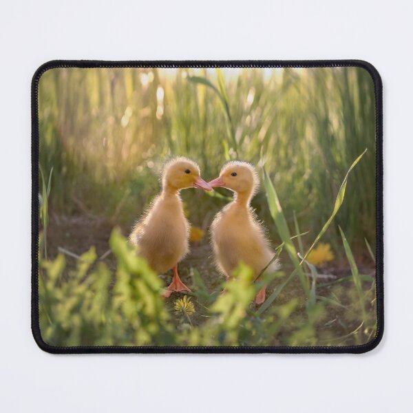 Item preview, Baby goslings in the grass designed and sold by Svetlana Korneliuk.