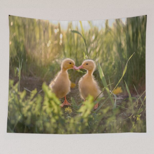 Item preview, Baby goslings in the grass designed and sold by Svetlana Korneliuk.