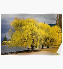 1383 Willow trees Poster