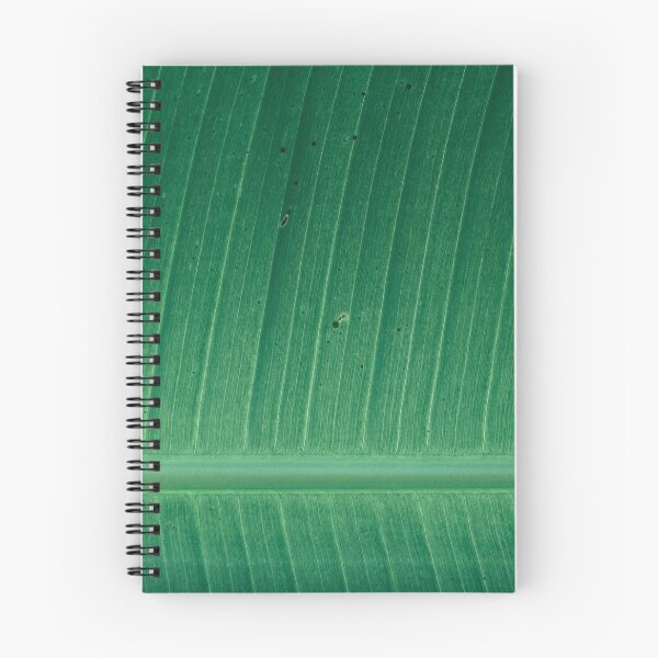 Item preview, Banana Leaf designed and sold by antevasinart.