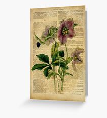 Botanical print, on old book page - flowers Greeting Card
