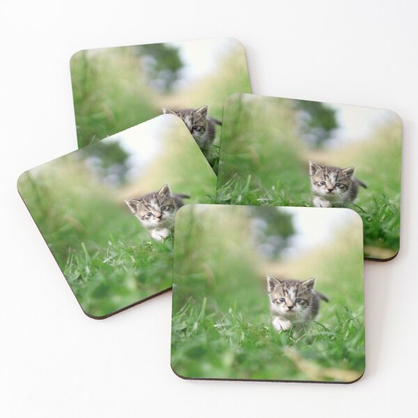 Item preview, Cute kitty in meadow designed and sold by AlexSin.