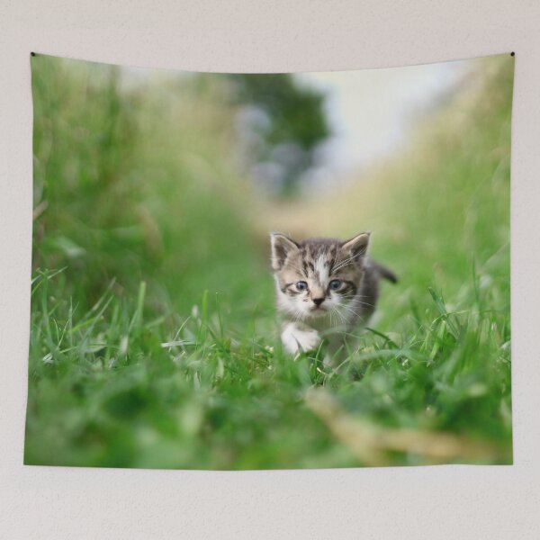 Item preview, Cute kitty in meadow designed and sold by AlexSin.