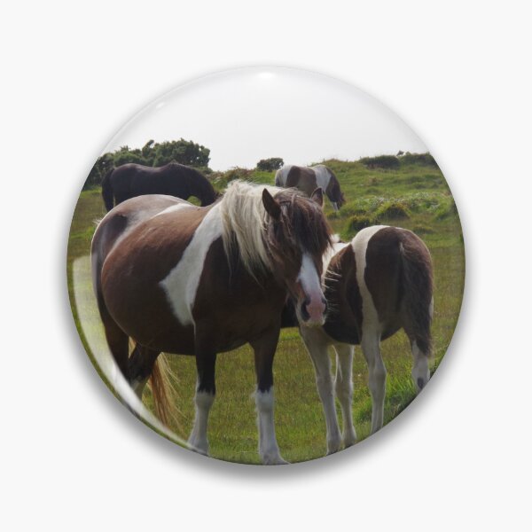 Item preview, Bodmin Moor Ponies designed and sold by lezvee.