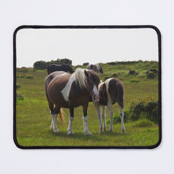 Item preview, Bodmin Moor Ponies designed and sold by lezvee.