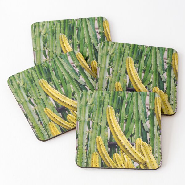 Item preview, Mediterranean Garden of Large Cactus Plants  designed and sold by CarolinaReina.