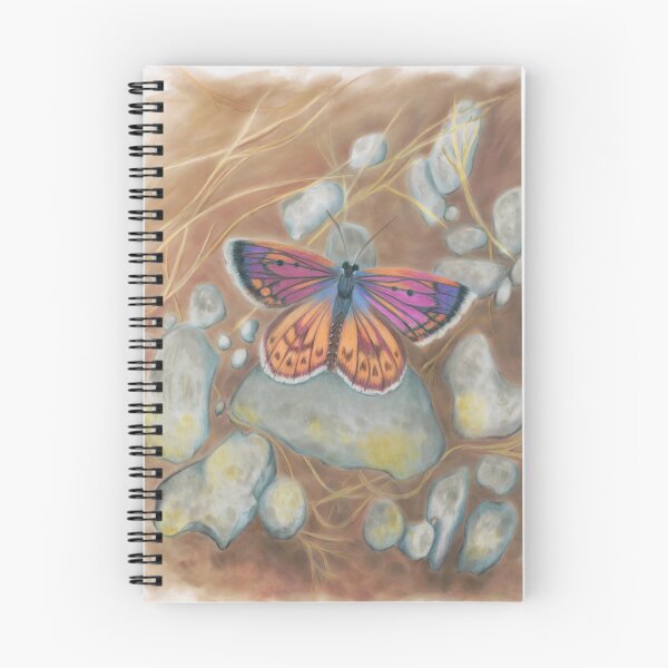 Item preview, New Zealand Boulder Copper Butterfly designed and sold by Moya Deacon Radley.