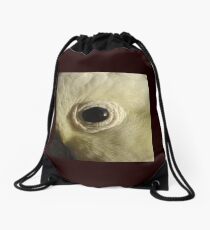 Cockatoo's Eye Drawstring Bag