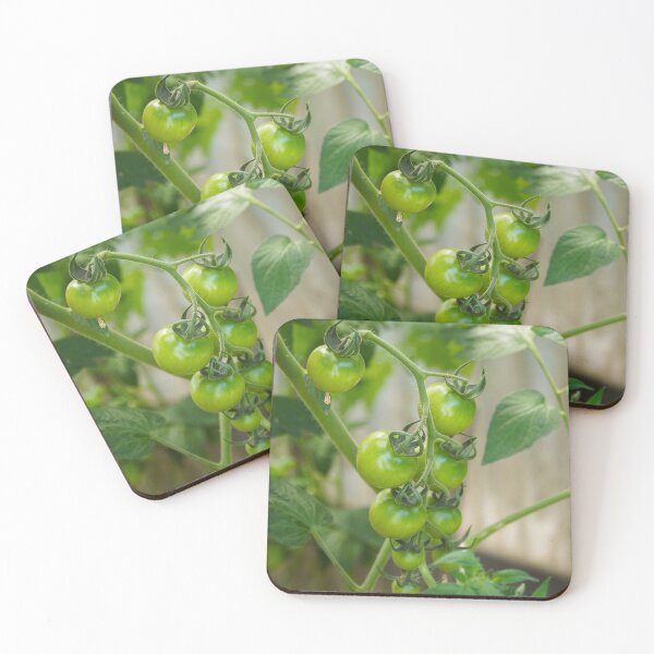 Item preview, Unripe tomatoes in the garden designed and sold by xP42.