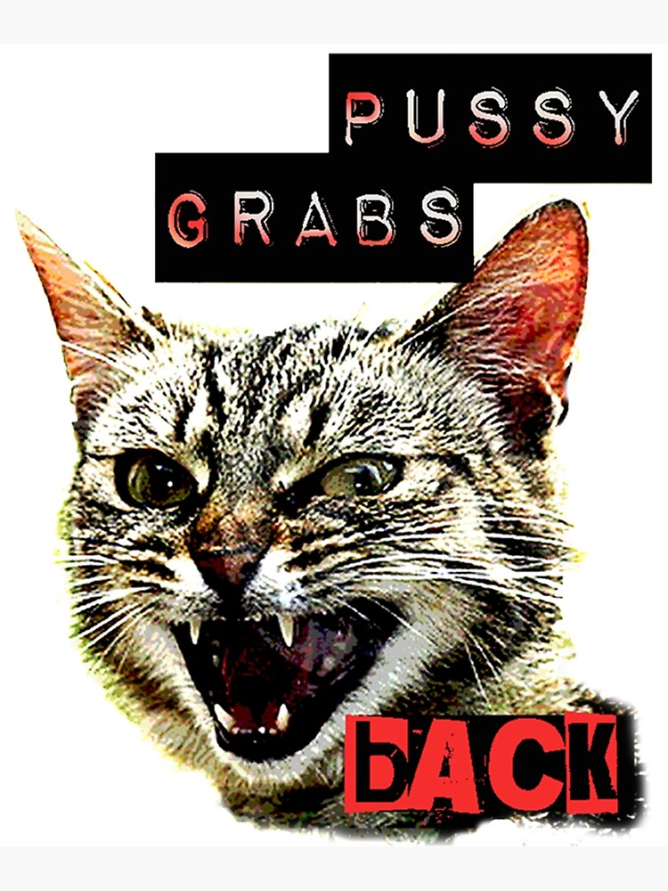 Pussy Grabs Back White Background Poster For Sale By Hepeculiarpar