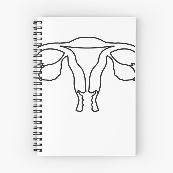 Item preview,  uterus and ovaries   Line art.   Anatomy human female design designed and sold by Drevych-shop.