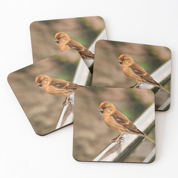 Item preview, Little Bird designed and sold by coffeebean.