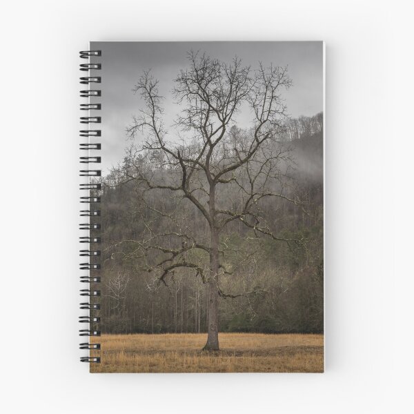 Aperçu de l'œuvre Arbre, hiver, Great Smoky Mountains, Caroline du Nord, États-Unis créée et vendue par Dimitrios Timpilis.