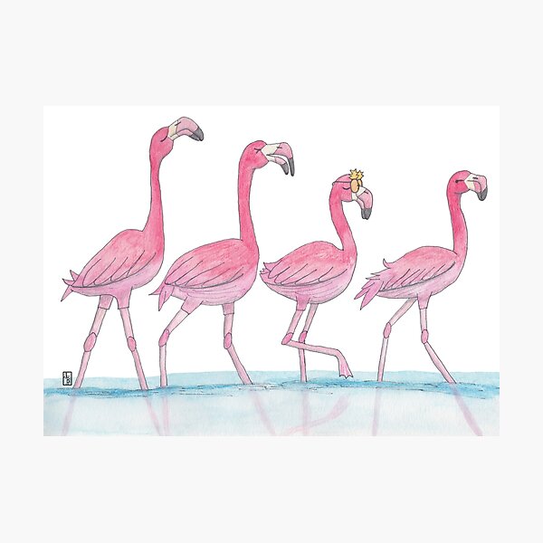 Flamingo or freedom Photographic Print
