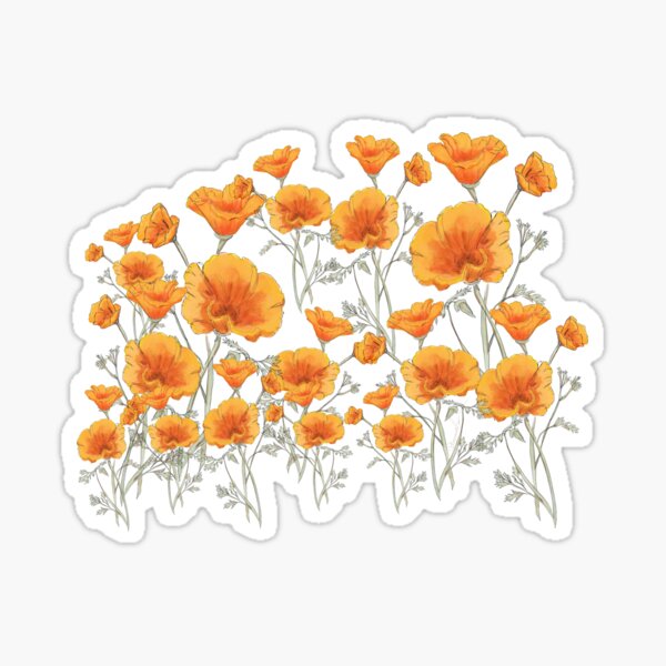 Mrs Grossman POPPY Orange California Flower Floral spring Stickers Vintage 1997