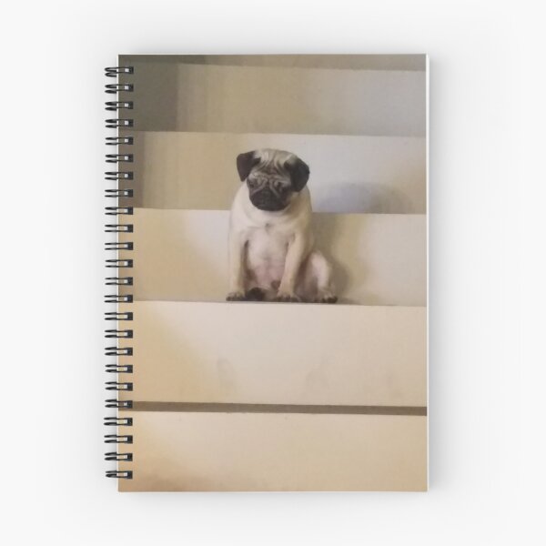 Item preview, I got up here now what? designed and sold by JLFInspArt.