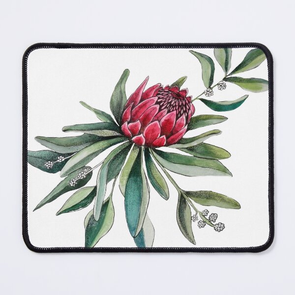 Item preview, Protea flower Watercolor on white designed and sold by MagentaRose.