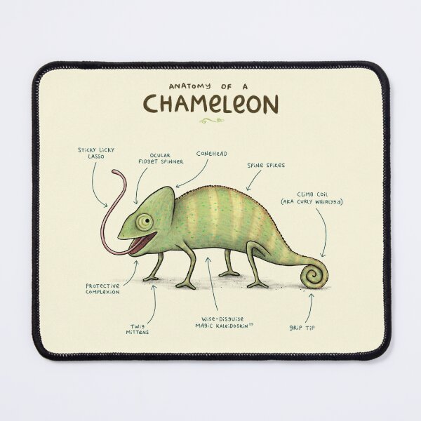 Item preview, Anatomy of a Chameleon designed and sold by SophieCorrigan.
