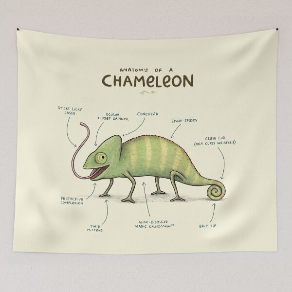 Item preview, Anatomy of a Chameleon designed and sold by SophieCorrigan.