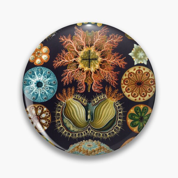 Item preview, Ernst Haeckel - Kunstformen Der Natur - Actiniae Seeanemonen Sea anemones designed and sold by cutesy.