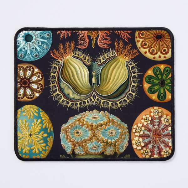 Item preview, Ernst Haeckel - Kunstformen Der Natur - Actiniae Seeanemonen Sea anemones designed and sold by cutesy.