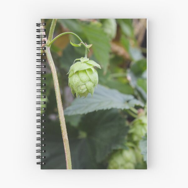 Item preview, Brewboys - Lonely Hop designed and sold by Oui. Oui..