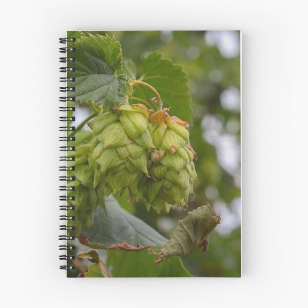 Item preview, Brewboys - Sun Kisses Hops designed and sold by Oui. Oui..