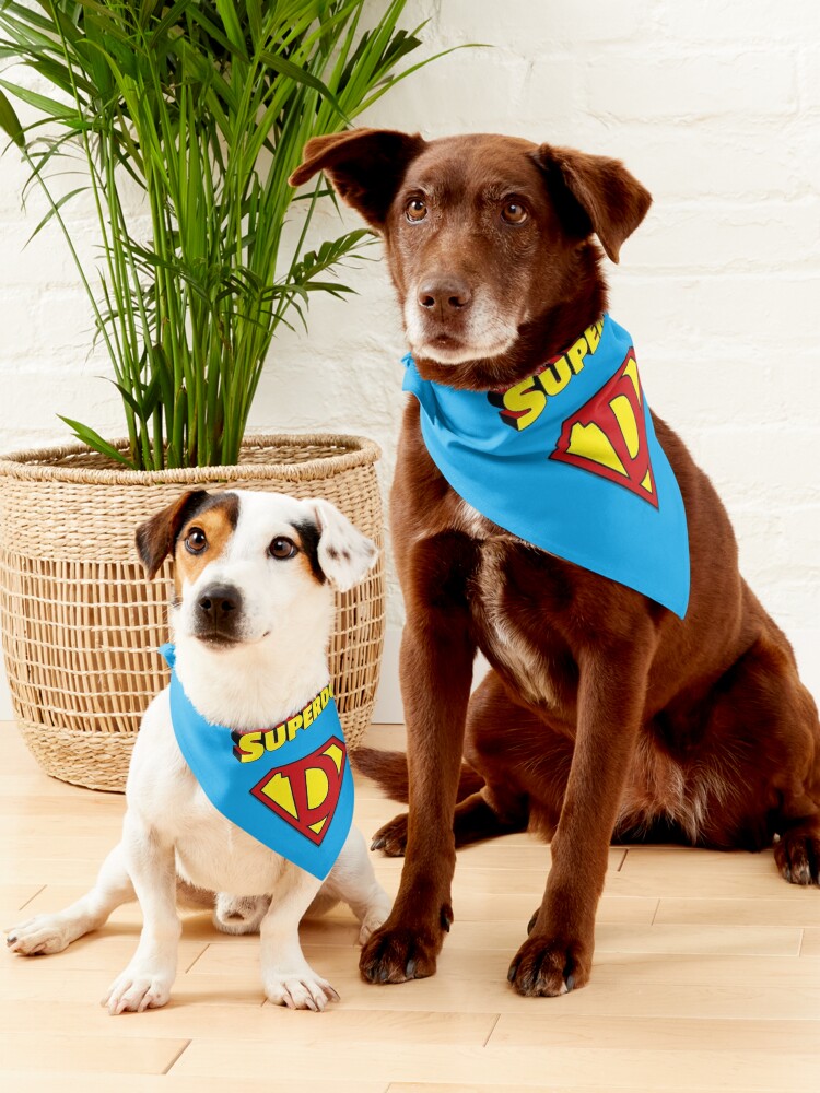 Superman dog online bandana