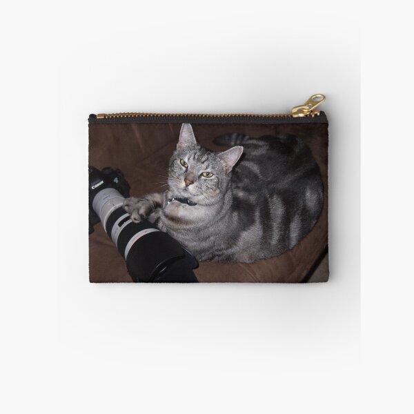 Item preview, Loki - Canon Spokescat. designed and sold by Sandra Chung.