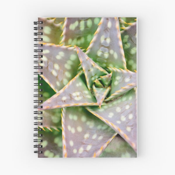 Item preview, Tropical succulent from Ecuador designed and sold by raymona pooler.